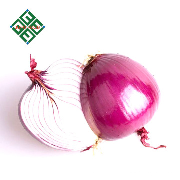 fresh sweet onion price